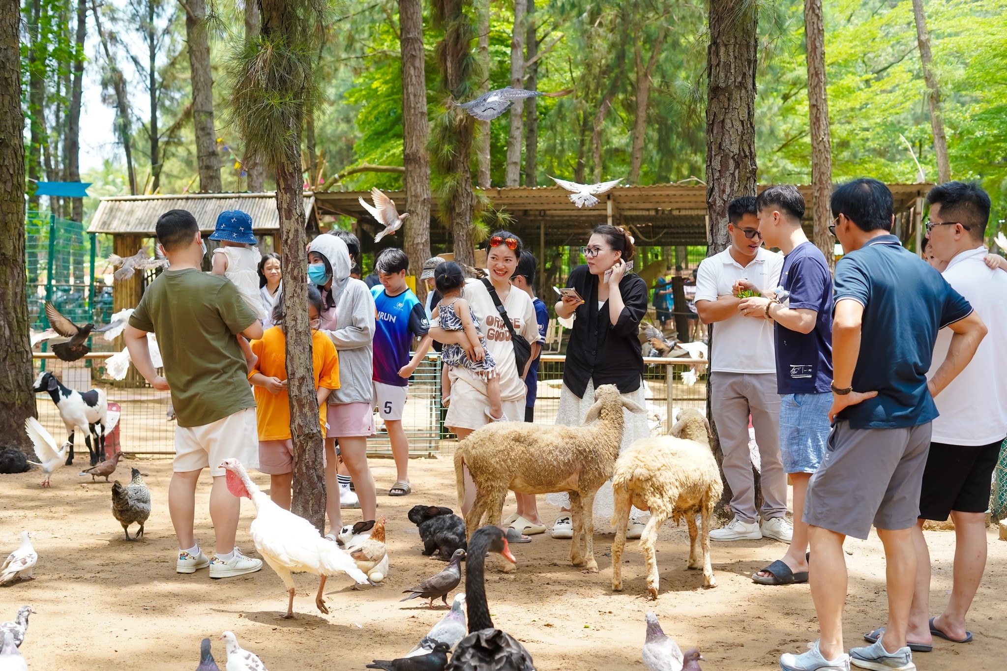 Flamingo Đại Lải có vườn thú bên trong